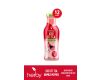 Herby Iced Fit Tea Kırmızı Meyveli 250 ml x 12 Adet