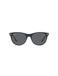 Ray-Ban RB 2202-M F668/B1 55*18 145