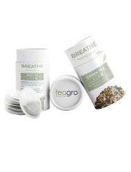 BREATHE Yeşil elma ve nane aromalı, adaçaylı yeşil çay