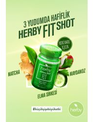 Herby Fit Shot Bitki Bazlı İçecek 60ml x24 adet