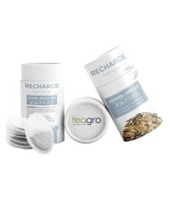 RECHARGE Bal aromalı, zencefil ve limonlu karışık bitki çayı