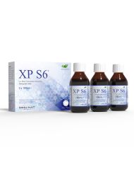 İmmunat XP S6 Box Sıvı Bitki Ekstraktları Karışımı 300 ML